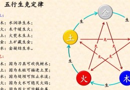五行在命理学中的重要性
