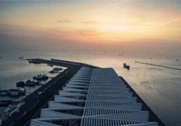 十神的比肩坐支关系是什么