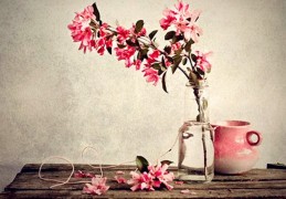 桃花运旺的八字特点