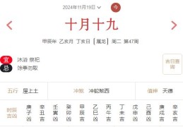 2024年11月25日每日五行穿衣指数解读搭配