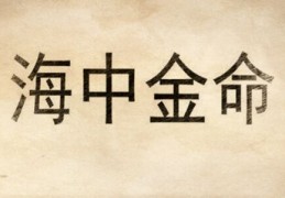 海中金命怎么旺财运