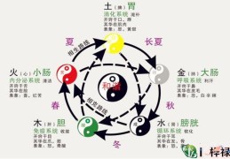 八字疾病类象大全