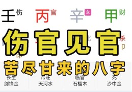 八字见伤官合杀的特征