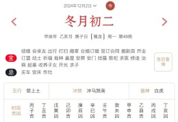 2024年12月2日每日五行穿衣指数解读搭配