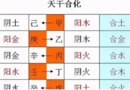 八字干支合化的条件有哪些