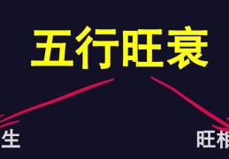 从五行旺衰看有人追的八字特征