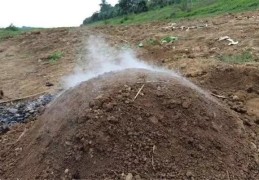 发富如虎的祖坟风水