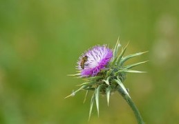 爱面子的八字特征