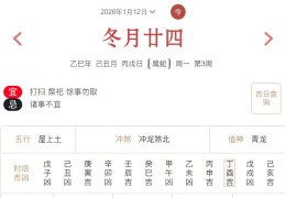 2026年1月12日每日五行穿衣指数解读搭配