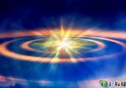 天干地支一气格