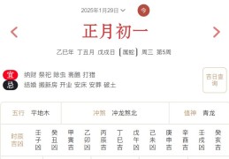 2025年1月29日每日五行穿衣指数解读搭配