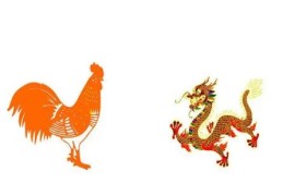 八字地支见辰酉合代表什么