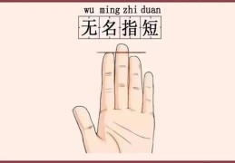 无名指的是婚姻状态