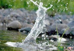 八字五行缺水戴什么