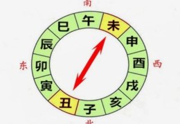 八字中丑未相对冲代表什么
