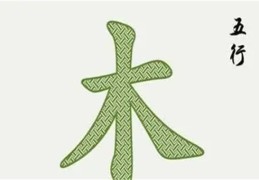 喜用神为木忌讳什么（喜用神为木忌讳什么颜色）