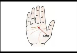 桃花异性缘旺的女人手相