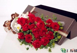 能尽快让自己摆脱单身的风水