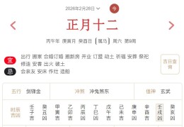 2026年2月28日每日五行穿衣指数解读搭配
