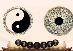 八字命理能干什么