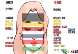 ​财气强旺的女人面相什么样