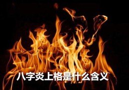 八字炎上格的富贵程度（八字 炎上格）