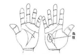 智慧线有岛纹好吗