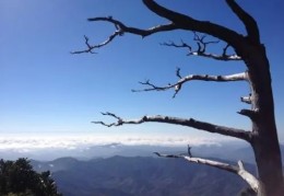 五行木弱要怎么办