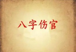 八字伤官的性格特征有哪些