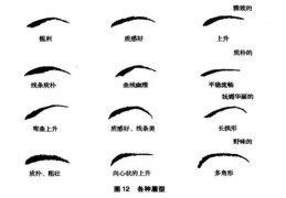 面相眉毛观相术