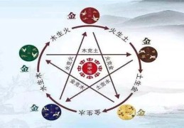 六爻如何确定五行技巧有哪些