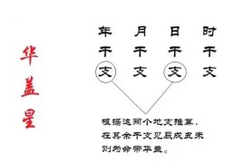 八字有华盖的人适合什么职业