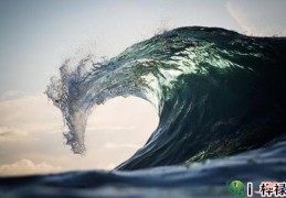 壬水日元生于各月