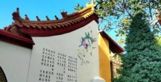咸池桃花啥意思，流年遇咸池桃花好不好