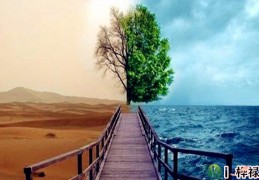 八字看贫贱之命，怎么知道富贵贫贱