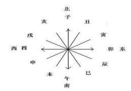 ​子午卯酉哪个最漂亮