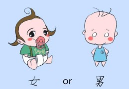 生辰八字如何查生男生女