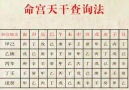 八字命宫和身宫是一回事吗？都有什么影响