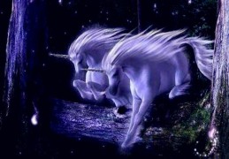 八字驿马星代表了什么