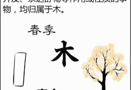 八字基础知识：五行、木