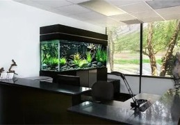 办公室鱼缸的选择风水