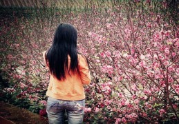 不带正桃花的八字什么样