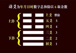 六爻中动爻怎么看