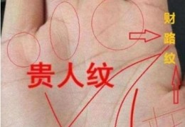 女富豪手相特征