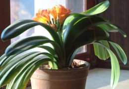 怎么精确了解自己的喜用神