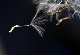 八字缺火的男人（八字缺火的男人命运）