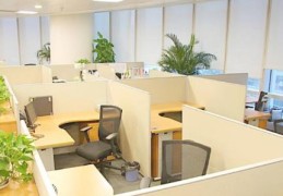 办公室催财的实用方法