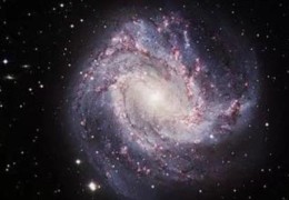 四柱神煞和大运神煞