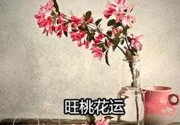 影响招桃花风水布局的因素