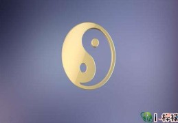 八字中缺少某种十神的直断法